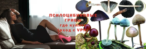 a pvp Вязники