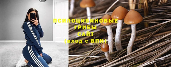 первитин Вязьма
