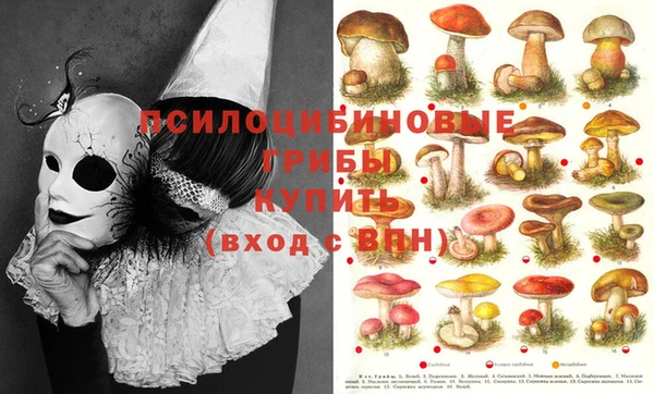 a pvp Вязники